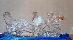 02HOF28.jpg (12910 bytes)